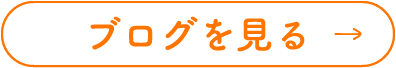 ブログを見る