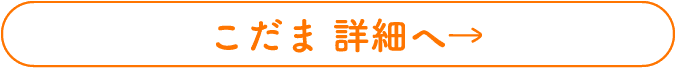 こだま 詳細へ