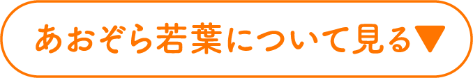 あおぞら若葉について見る